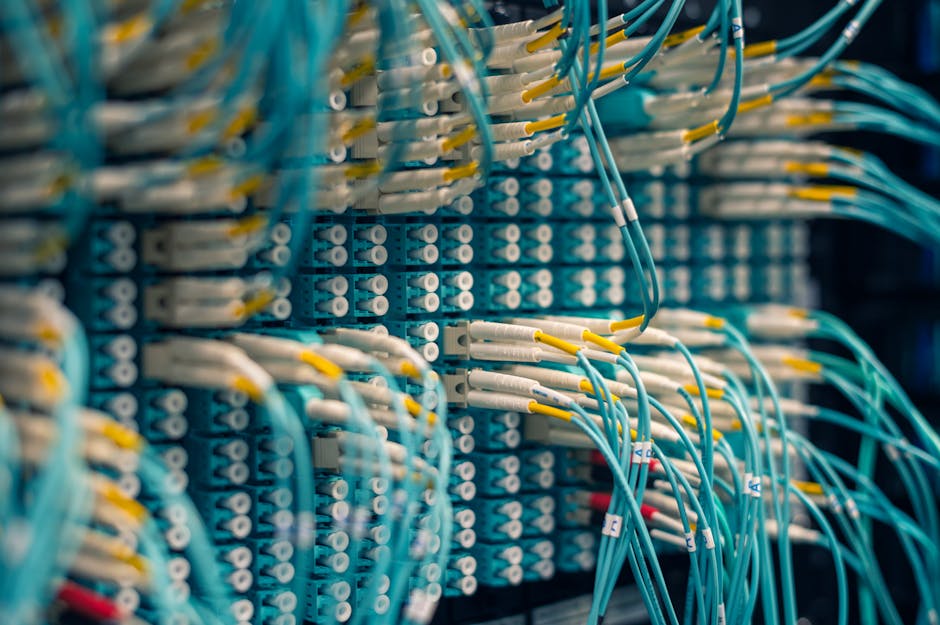 Network Effects in Health AI: How Every User Makes the Platform Smarter